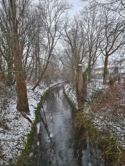 Winter 2021 Speyer am Rhein 