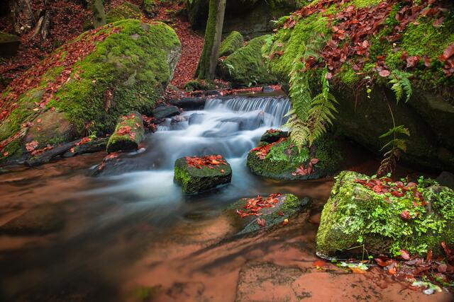 Herbststimmung im Karlstal Oktober 2020 | Foto:  Stefan Jung