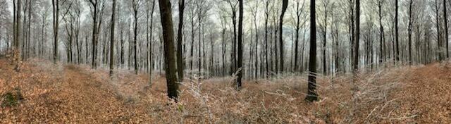 Donnersberg am 29. Nov 2020 | Foto: Hannah Kühner