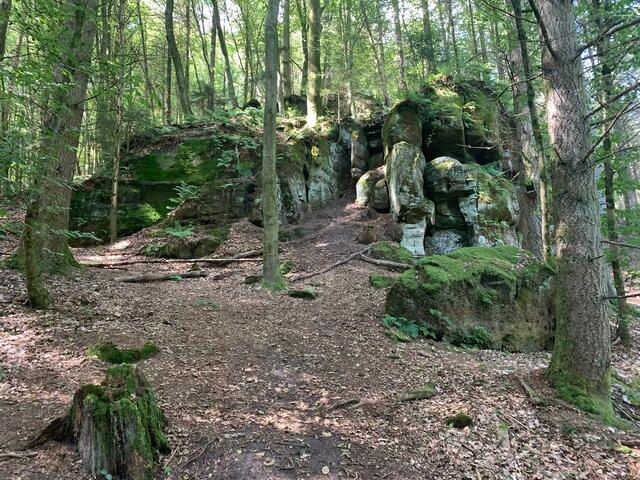 Wasserschaupfad Odenbachtal - Rheinland-Pfalz | Foto: Hannah Kühner