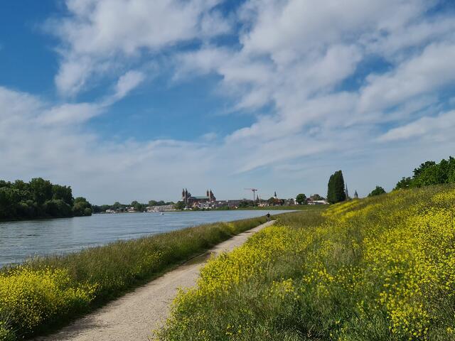 Überblick zum Dom Speyer am Rhein