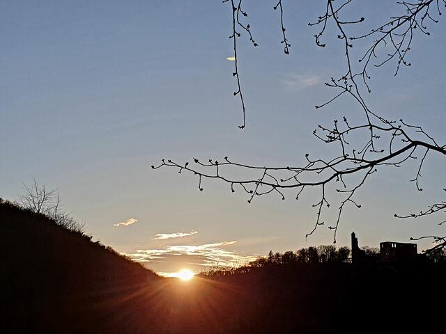 Foto: Stefanie Eckfelder