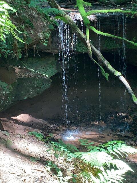 Wasserschaupfad Odenbachtal - Rheinland-Pfalz | Foto: Hannah Kühner