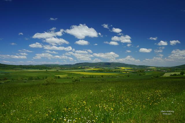 Blick aus dem Pozubachertal beim Schmitterhof zwischen Lohnsfeld und Potzbach auf den Donnersberg | Foto: Stephen Wüstenberg Photographie - Wartenberg-Rohrbach