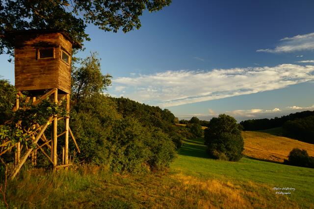 Landschaft mit Hochsitz am Heuberg bei Wartenberg-Rohrbach | Foto: Stephen Wüstenberg Photographie - Wartenberg-Rohrbach