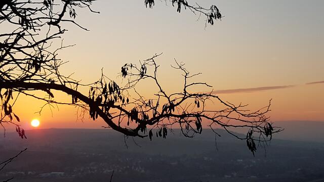 Foto: Stefanie Eckfelder