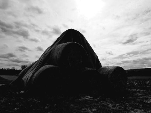 Der Herbst ist da.... | Foto: Stefanie Eckfelder