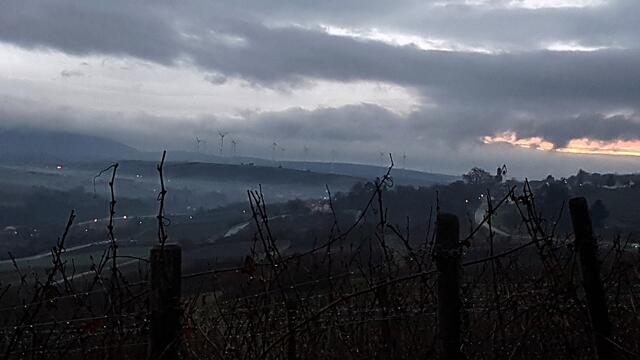 Foto: Stefanie Eckfelder