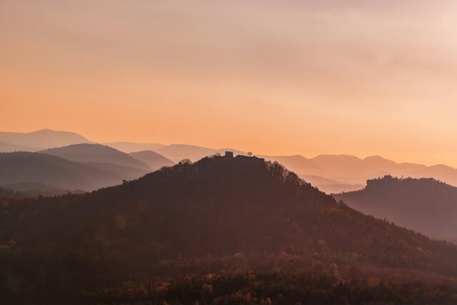 Morgenstimmung im Pfälzer Wald November 2020 | Foto: Stefan Jung