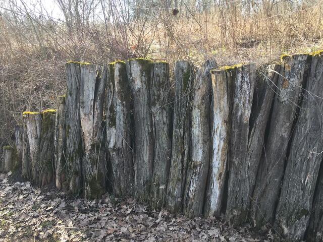 Eisenberg - Erdekaut im Februar | Foto: Hannah Kühner