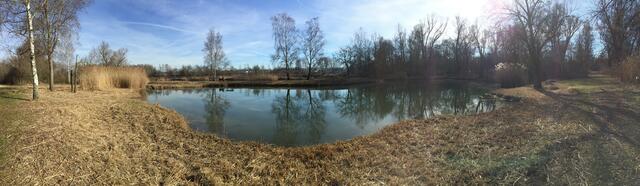 Erdekaut Eisenberg im Februar