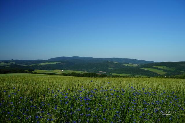 Blick vom Spreiterhof auf Imsweiler und Flugplatz Imsweiler vor dem Donnersberg | Foto: Stephen Wüstenberg Photographie - Wartenberg-Rohrbach