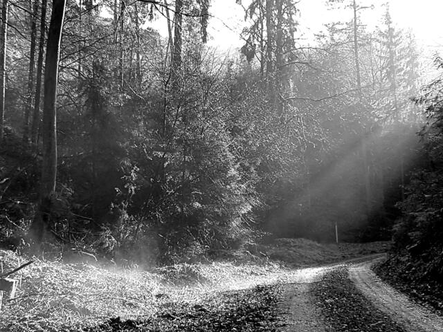 Foto: Stefanie Eckfelder