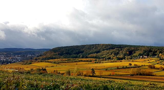 Foto: Stefanie Eckfelder