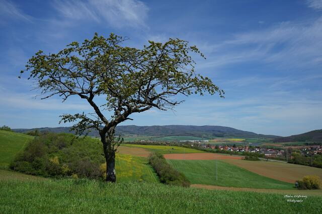 Blick über Münchweiler am Donnersberg | Foto: Stephen Wüstenberg Photographie - Wartenberg-Rohrbach