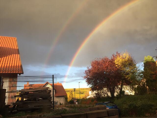 Kleinkarlbach, 02. Nov  | Foto: Hannah Kühner