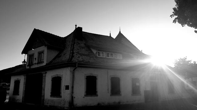 Foto: Stefanie Eckfelder