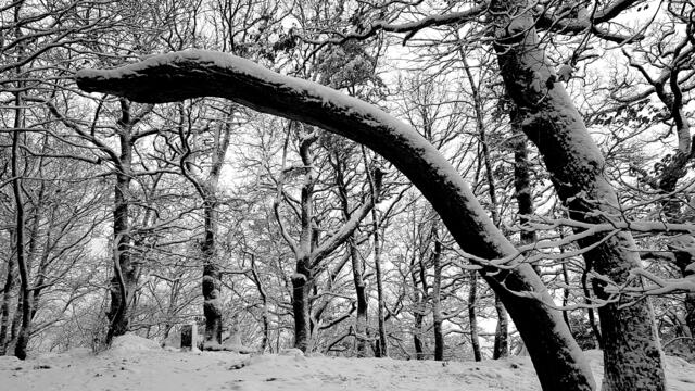 Foto: Stefanie Eckfelder