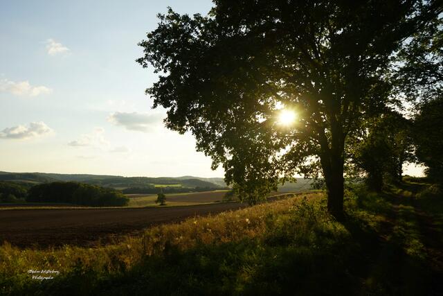 Frühherbstliche Idylle am Heuberg bei Wartenberg-Rohrbach | Foto: Stephen Wüstenberg Photographie - Wartenberg-Rohrbach