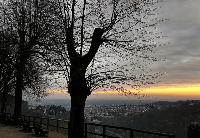 Auf der Limburg | Foto: Stefanie Eckfelder