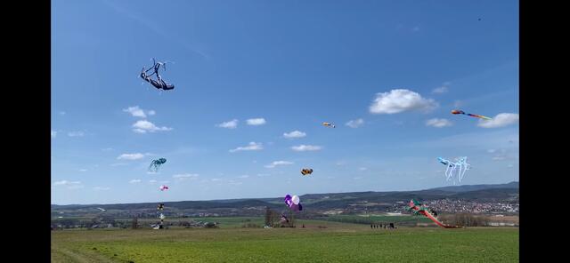 Drachen am 28. März in Neuleiningen | Foto: Hannah Kühner