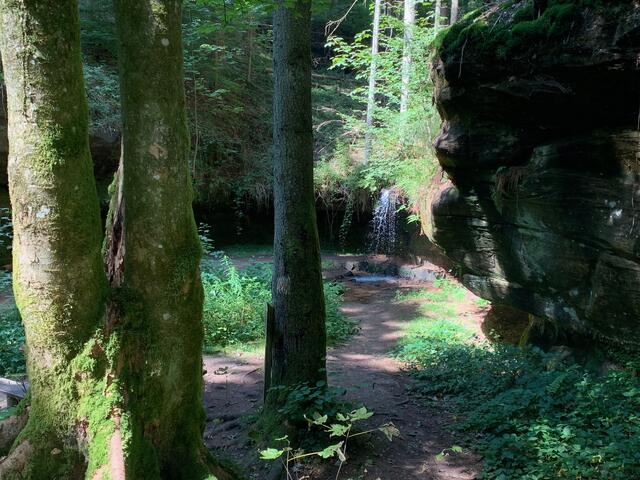 Wasserschaupfad Odenbachtal - Rheinland-Pfalz  ( im Kessel ) | Foto: Hannah Kühner
