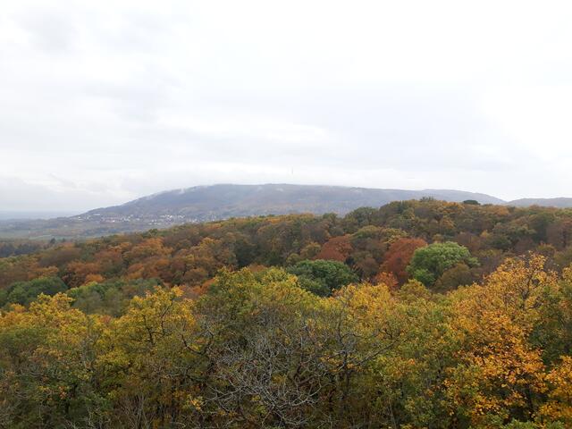 Drosselfels im Herbst
