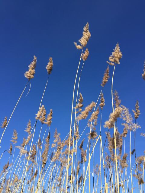 Erdekaut Eisenberg Herbst 2020 | Foto: Hannah Kühner