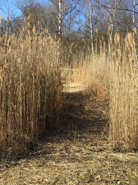 Erdekaut Eisenberg im Februar | Foto: Hannah Kühner