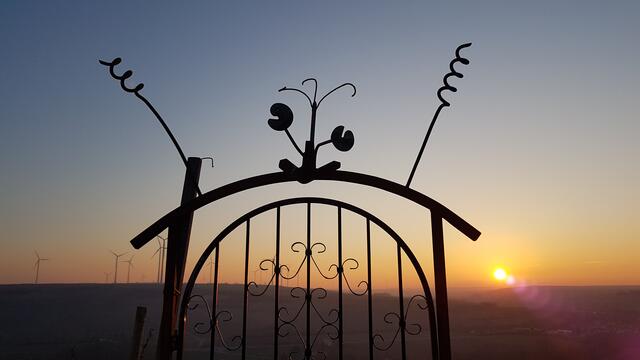 Foto: Stefanie Eckfelder