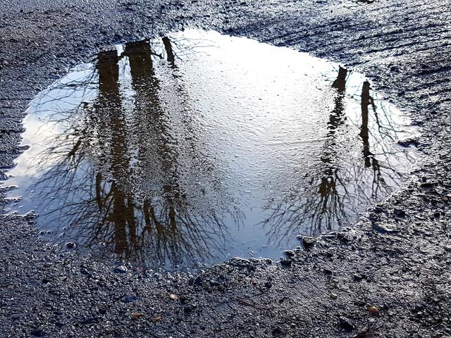 Foto: Stefanie Eckfelder