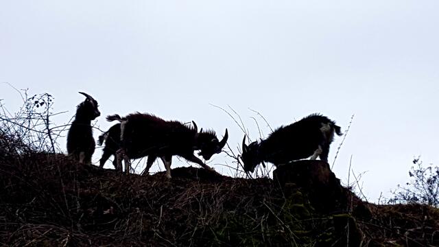 ....am " Schlamberg " .... | Foto: Stefanie Eckfelder