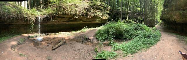Wasserschaupfad Odenbachtal - Rheinland-Pfalz | Foto: Hannah Kühner