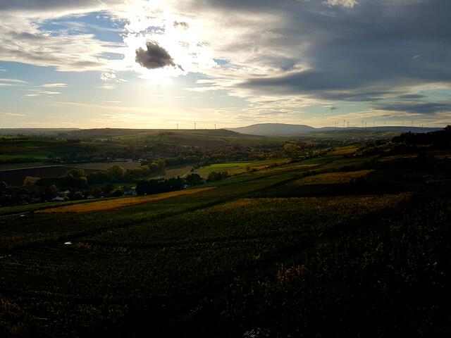 Foto: Stefanie Eckfelder