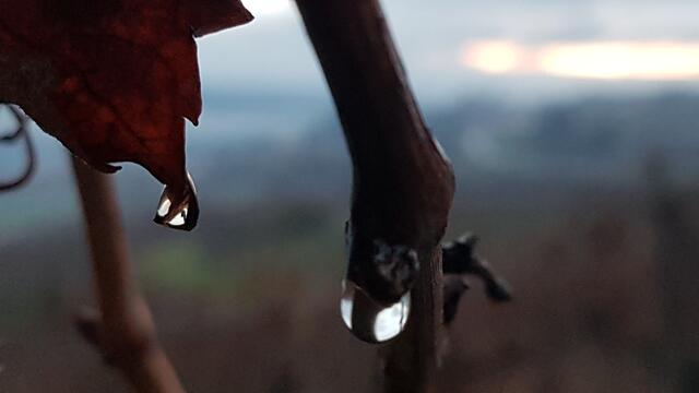 Foto: Stefanie Eckfelder