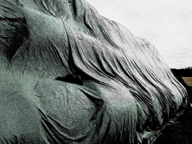 Foto: Stefanie Eckfelder