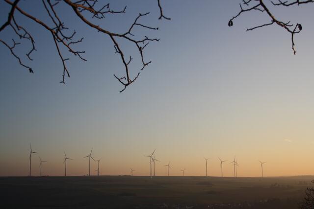 Foto: Stefanie Eckfelder