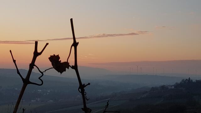 Foto: Stefanie Eckfelder