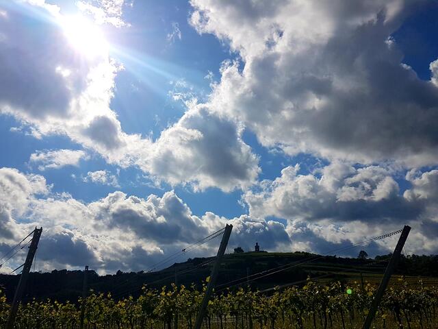 Foto: Stefanie Eckfelder