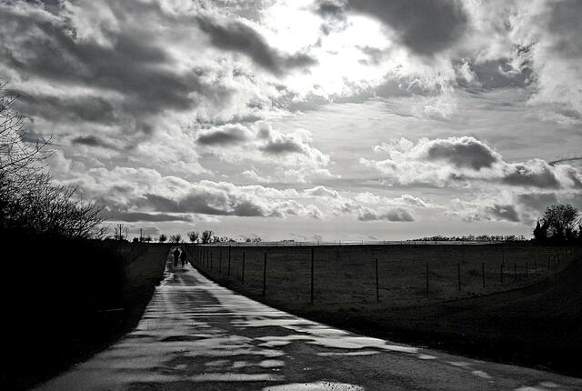 Spaziergang in den Abendstunden... | Foto: Stefanie Eckfelder