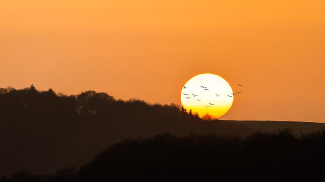 Sonnenuntergang bei Pfeffelbach Februar 2021 | Foto:  Stefan Jung