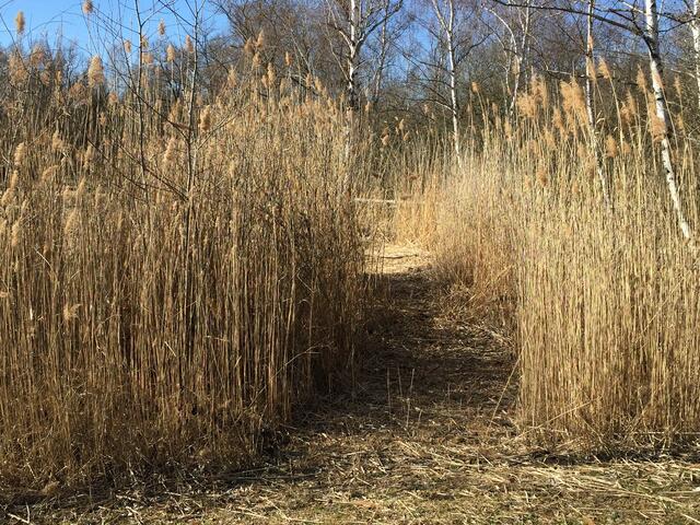 Erdekaut Eisenberg im Februar | Foto: Hannah Kühner