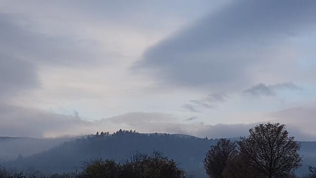 Herbststimmung | Foto: Stefanie Eckfelder