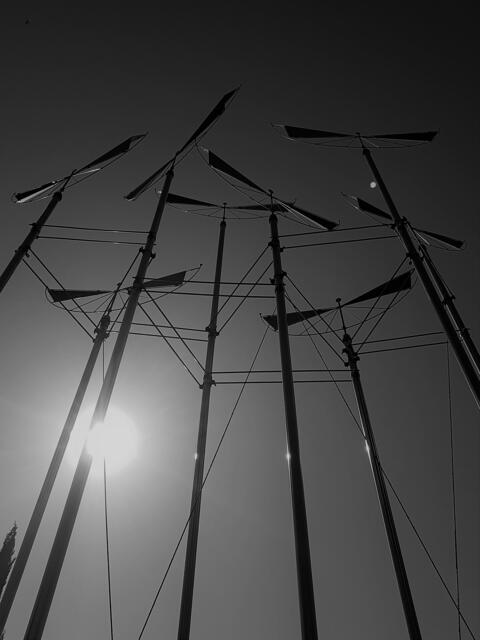 Im Kurpark | Foto: Stefanie Eckfelder