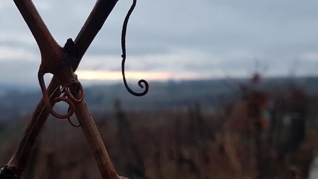 Foto: Stefanie Eckfelder