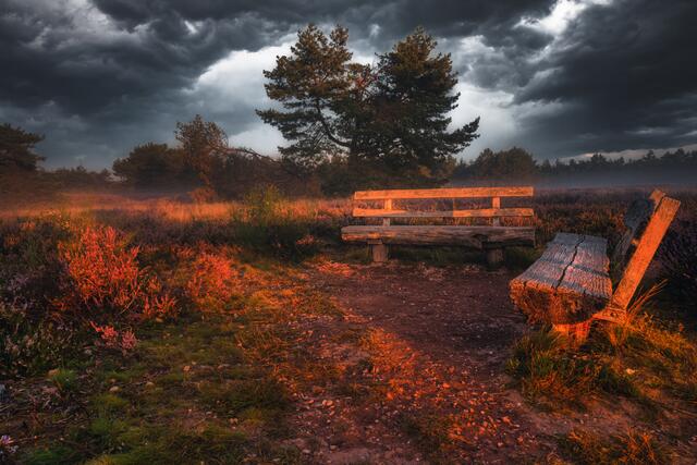 Dramatische  Wolkenstimmung in der Mehlinger Heide August /September 2021 | Foto: Stefan Jung