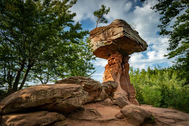 Teufelstisch bei Hinterweidenthal September 2021 | Foto: Stefan Jung