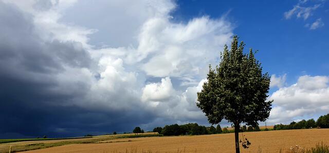 Im Zellertal ....ein Gewitter naht.... | Foto: Stefanie Eckfelder
