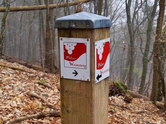 Wegweiser am Pfälzer Weinsteig im Pfälzerwald - Herbst