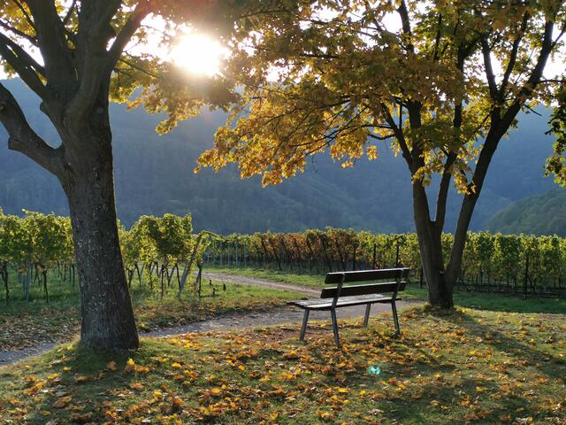 Blick von Weyher ins Modenbachtal, aufgenommen im Oktober